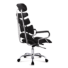 Director Chair of medical vertebrae - Image 8