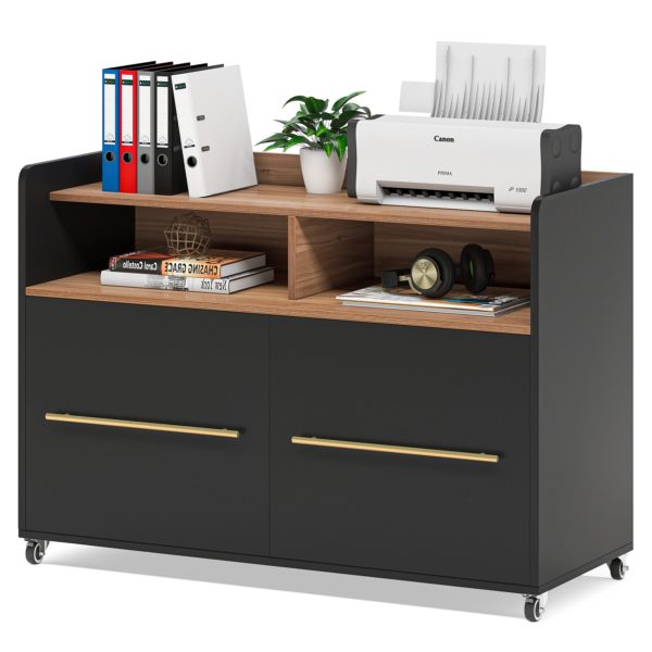 File 2 Drawer Rolling Lateral Filling Printer Stand