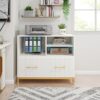 File Cabinet, Lateral Printer Stand with Drawer & Open Storage Spaces - Image 4