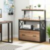 File Cabinet, Lateral Printer Stand with Drawer & Shelves - Image 11