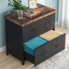 File Cabinet, 2-Drawer Lateral Filing Cabinet Printer Stand - Image 4