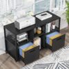 File Cabinet, 2 Drawer Wood Mobile Lateral Filing Cabinet - Image 4