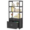 File Cabinet, 4-Tier Modern Bookshelf with 2 Drawers