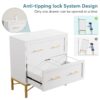 File Cabinet, Lateral Storage Cabinet Printer Stand with 2 Drawers - Image 7