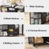 File Cabinet, 2-Drawer Mobile Filing Cabinets Printer Stand - Image 6
