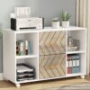 File Cabinet, 2 Drawer Large Mobile Filing Cabinet Letter Size - Image 7