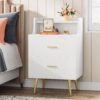 Nightstand, Modern Bedside Table with 2 Drawers